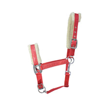 Hy Equestrian Christmas Santa Head Collar