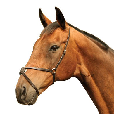 Mackey Classic Grackle Noseband