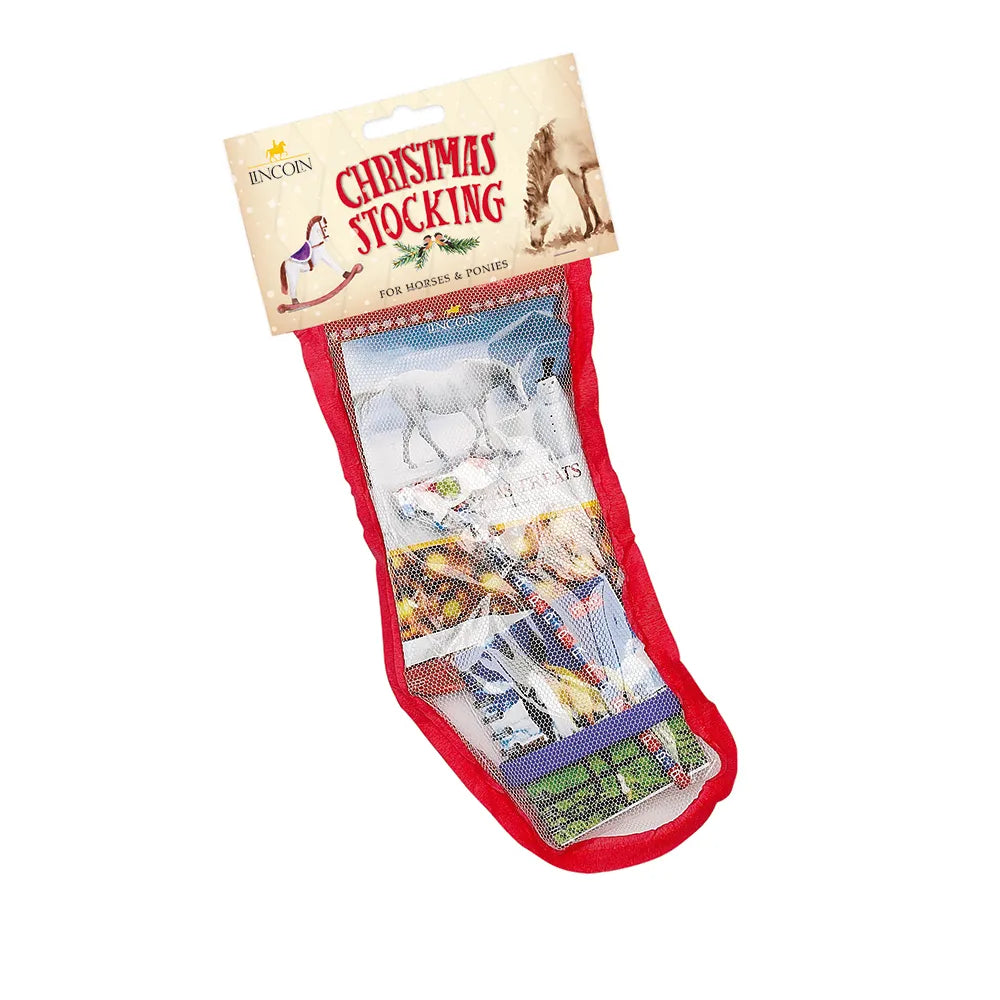 Lincoln Pony Mad Stocking