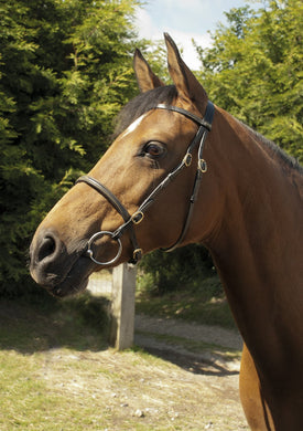 Heritage English Leather In-Hand Bridle