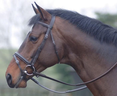 Oxford Bridle With Rubber Reins