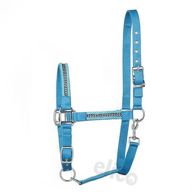 Ullswater Headcollar and Rope