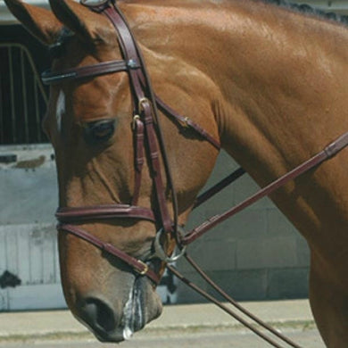 John Whitaker Fully Elasticated Training Rein