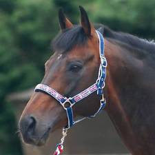 Union Jack Headcollar and Rope